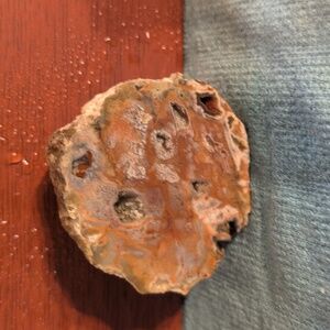 Thunderegg Half #3